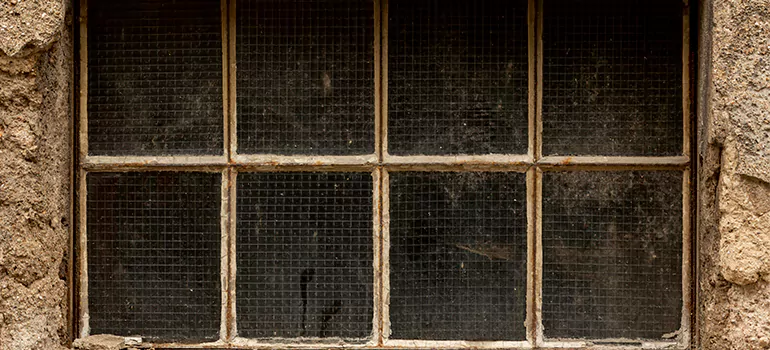 Traditional Double Front Doors in Melbourne, FL