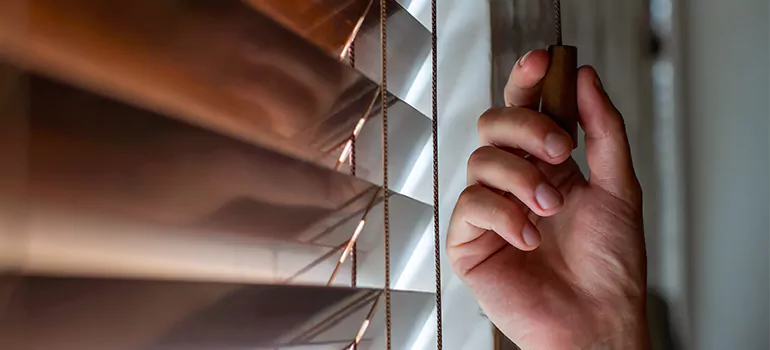 Double Roller Blinds in Melbourne, FL