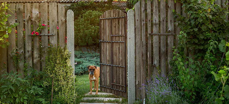 Winter Garden Garage Door Repair in Melbourne,[location field=state]