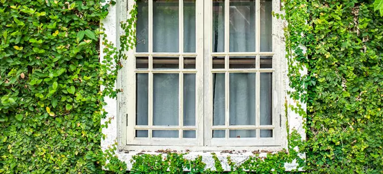 Garden Window Repair Near Me in Melbourne, FL