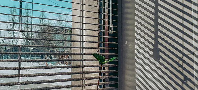 Commercial Window Blinds in Melbourne, FL