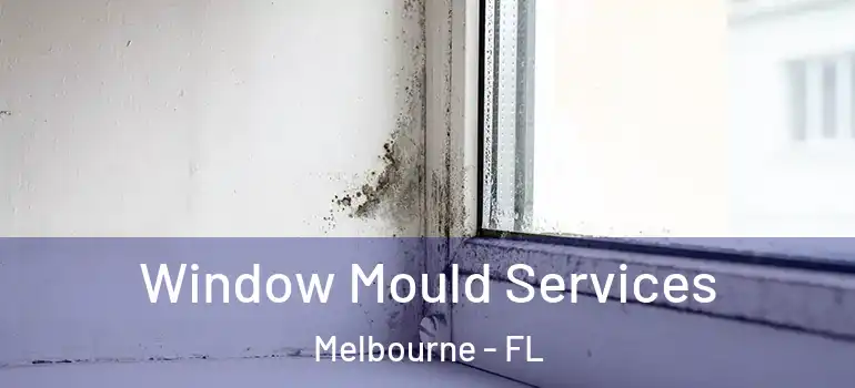 Window Mould Services Melbourne - FL
